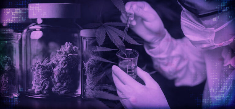 Filipinos’ Attitude Towards Medical Marijuana Legalization
