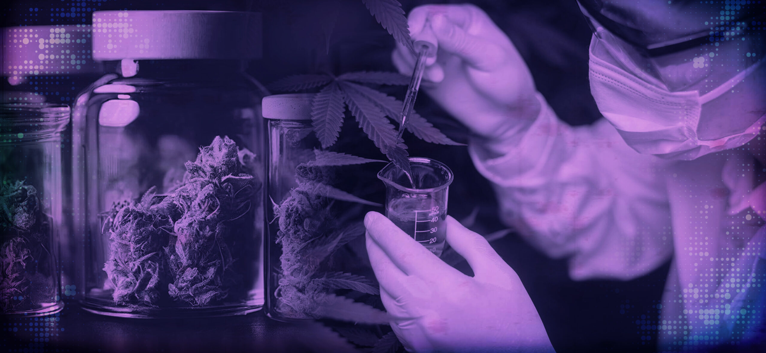 Filipinos’ Attitude Towards Medical Marijuana Legalization