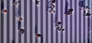 Respondents vs Participants in Surveys