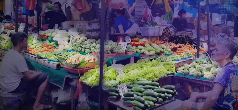 Food Security: Exploring the Availability, Accessibility, Utilization, Stability, and Sustainability