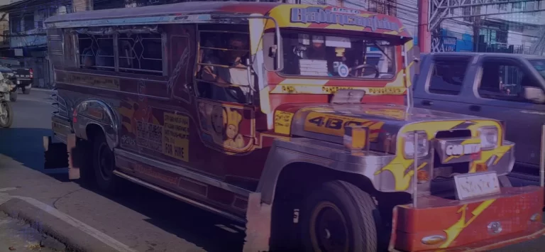 Public Perspectives on Transportation